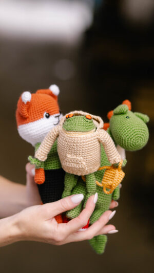 The Hoodie Frog: A Perfect Gift